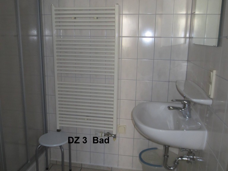 DZ 3 Duschbad