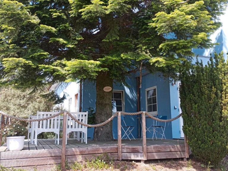 Ferienwohnung Gnitzer Auszeit - Haustiere erlaubt