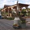 Ferienwohnungen Naturparadies Gnitz - Haustiere erlaubt