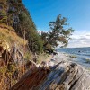 Ferienwohnungen Naturparadies Gnitz - Haustiere erlaubt